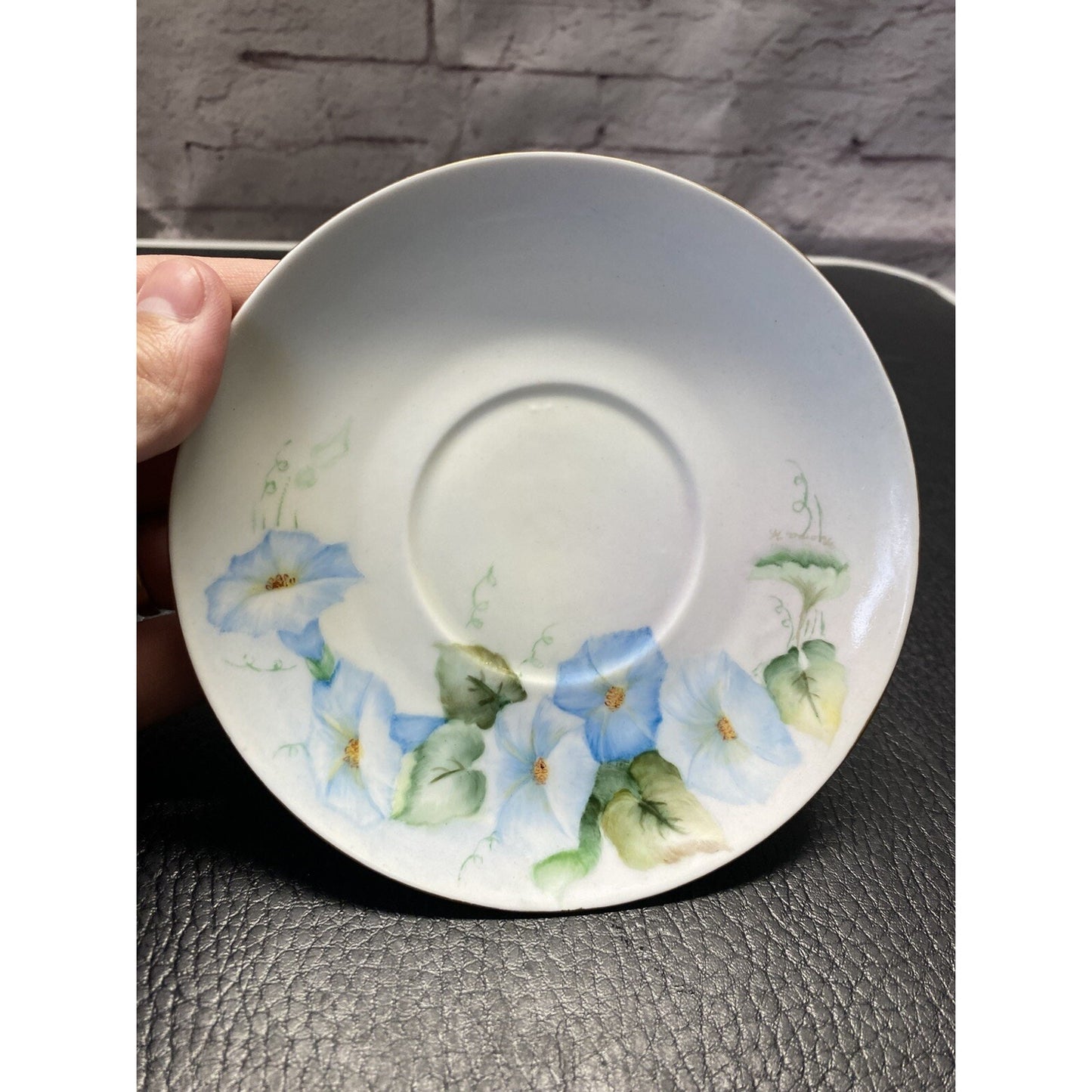 Schumann Bavaria Floral Teacup & Saucer Set