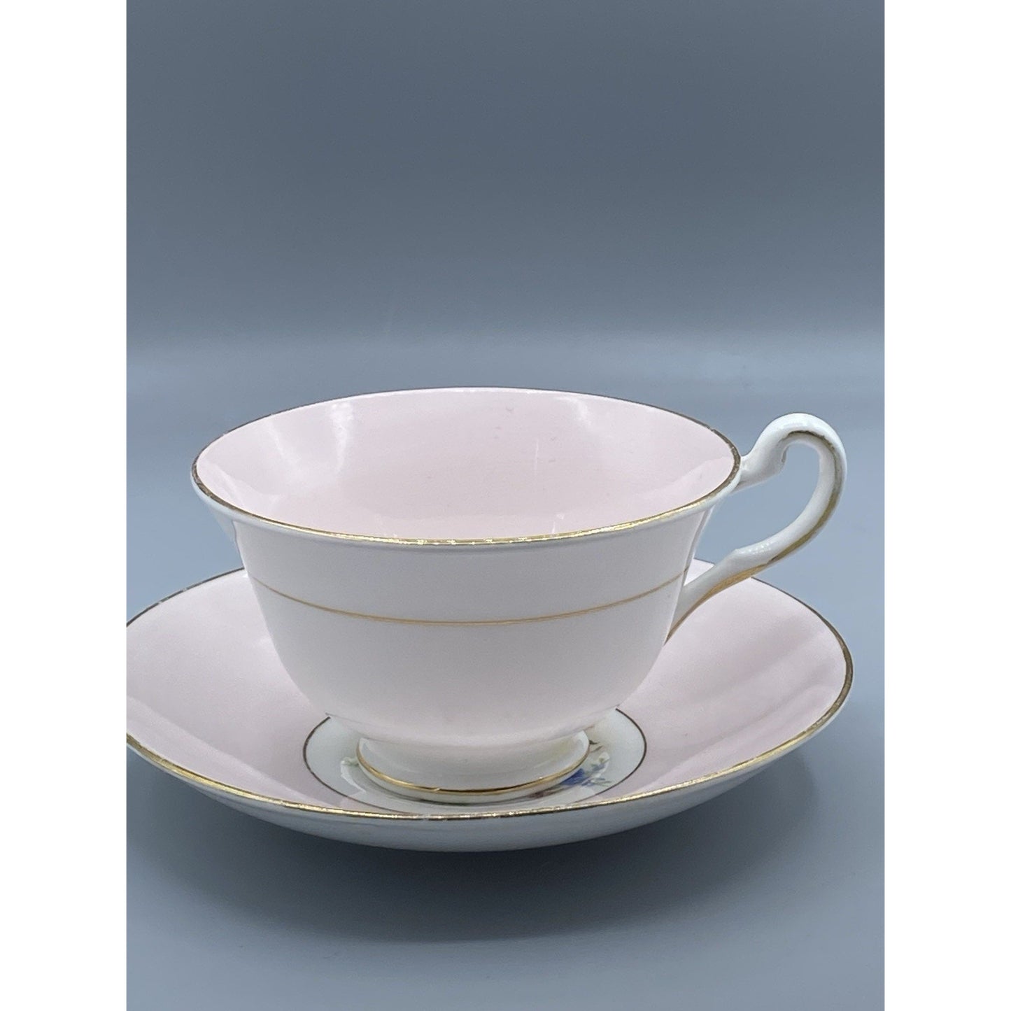 Rosina Pink Border Teacup and Saucer Set