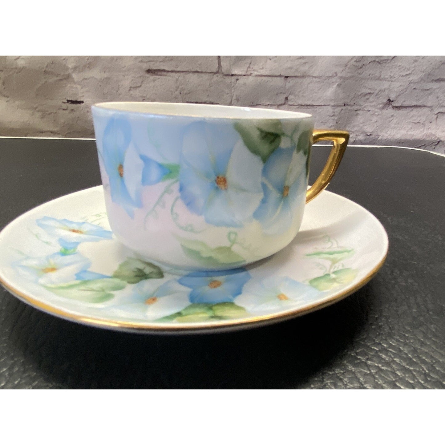 Schumann Bavaria Floral Teacup & Saucer Set
