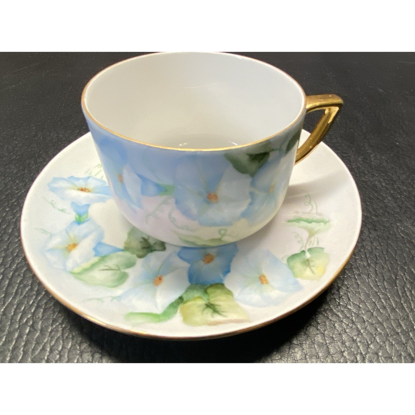 Schumann Bavaria Floral Teacup & Saucer Set