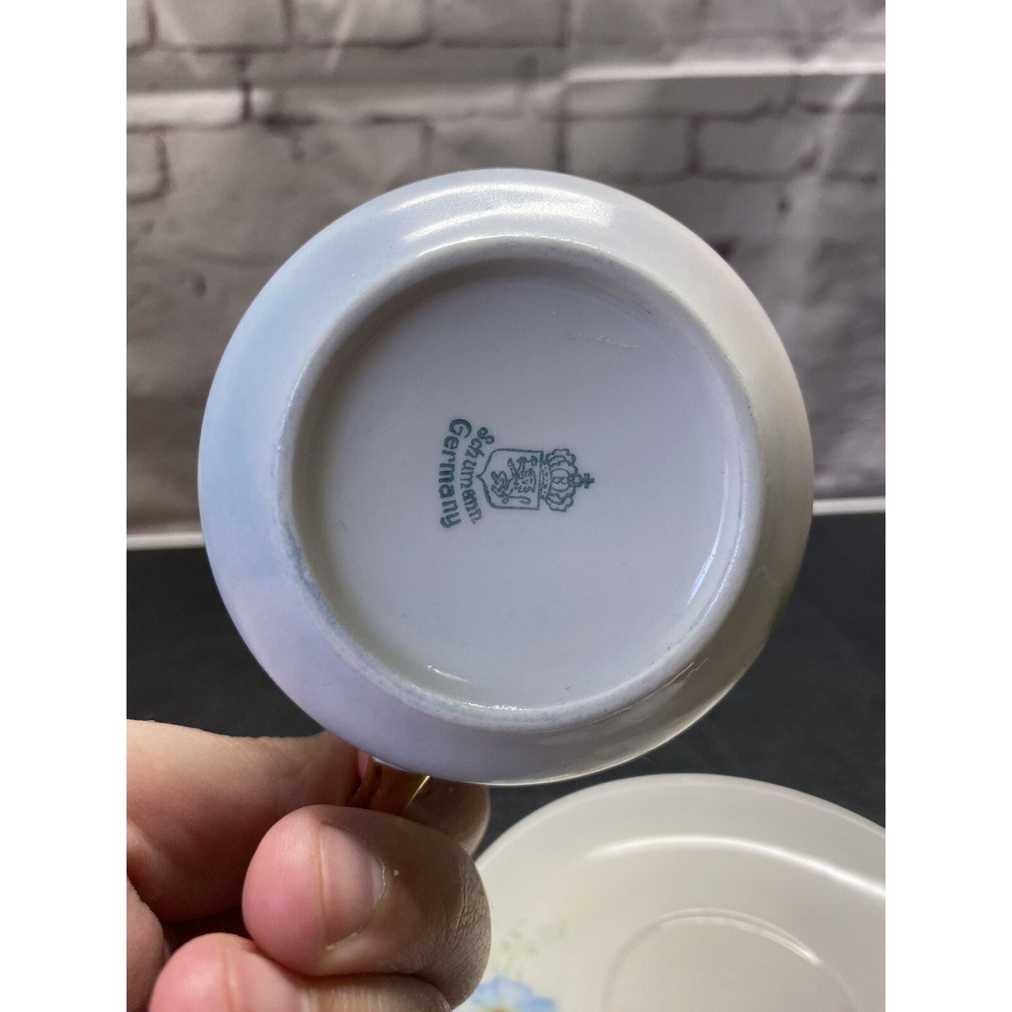 Schumann Bavaria Floral Teacup & Saucer Set