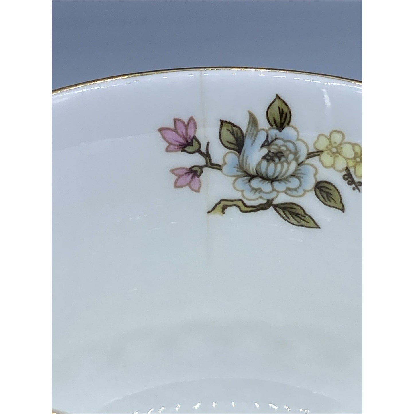 Queen's "Cathay" Teacup-Saucer Rosina Fine Bone China