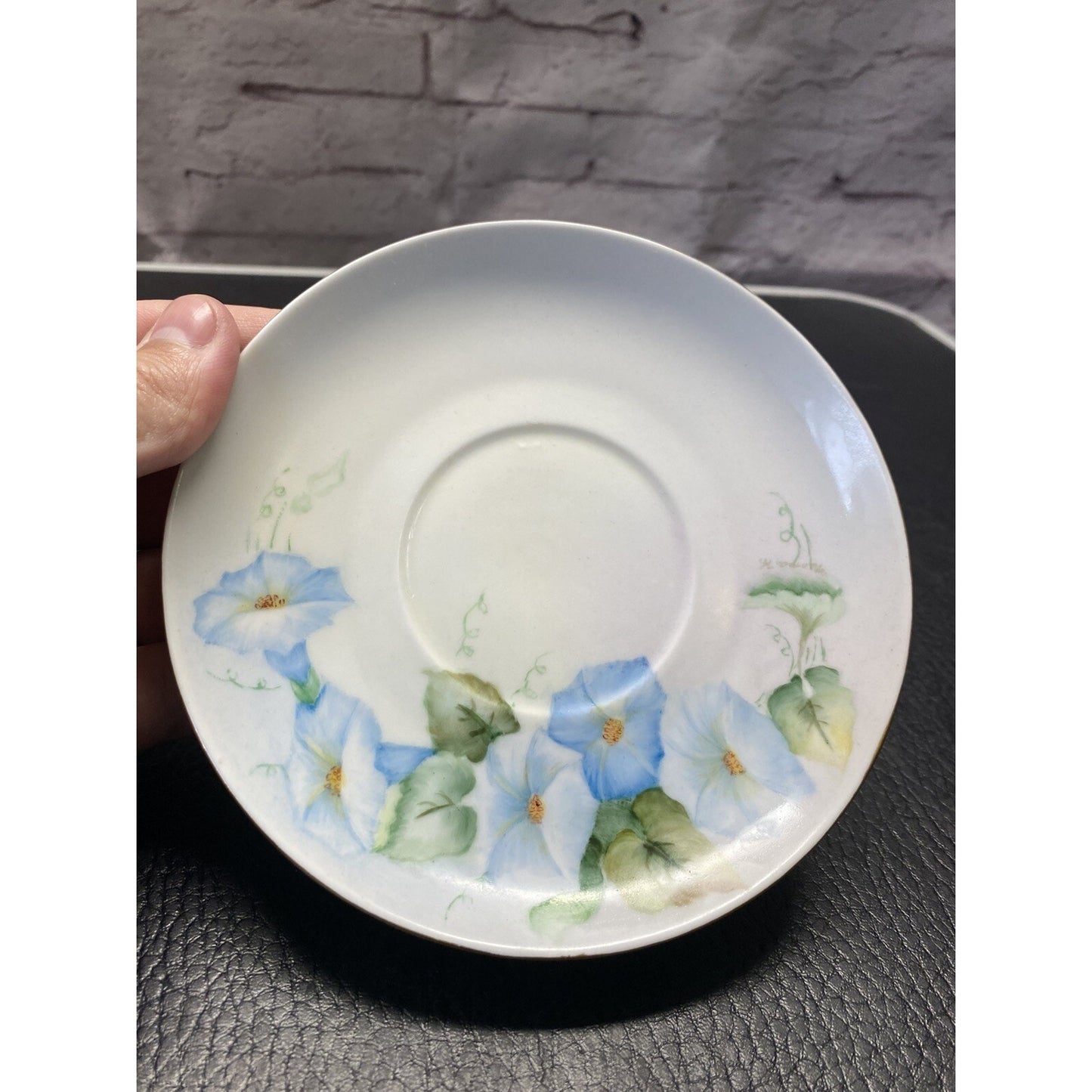 Schumann Bavaria Floral Teacup & Saucer Set