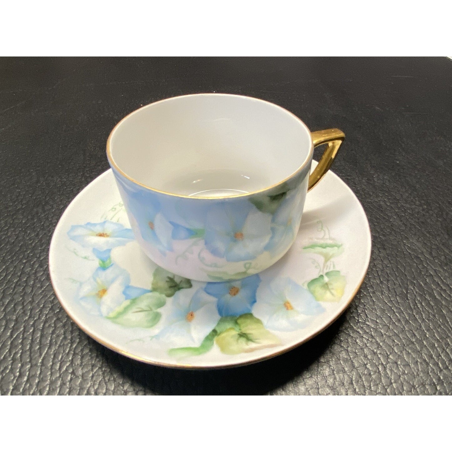 Schumann Bavaria Floral Teacup & Saucer Set