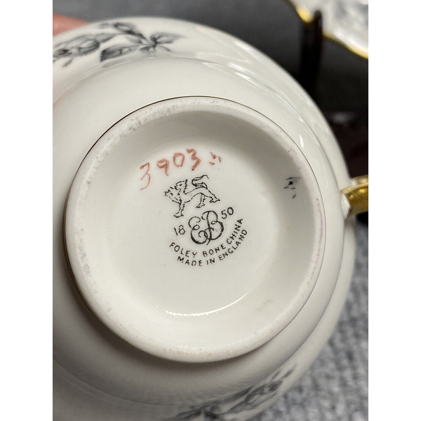 Scarce Foley Bone China Marked 1850 3903 Teacup & Saucer Set