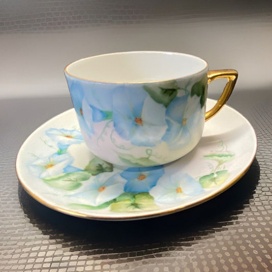 Schumann Bavaria Floral Teacup & Saucer Set