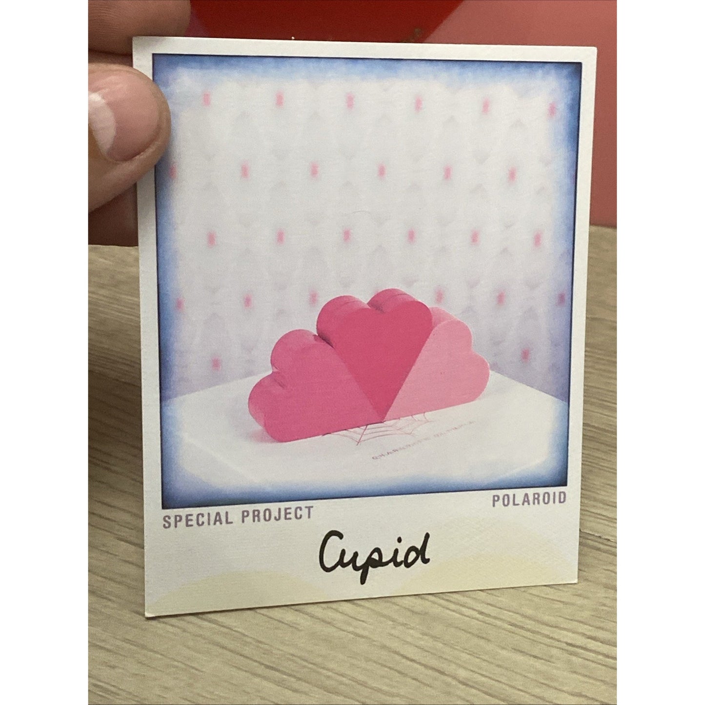 Rare Polaroid Special Project “Cupid” Purse Layered Heart Charlotte Olympia