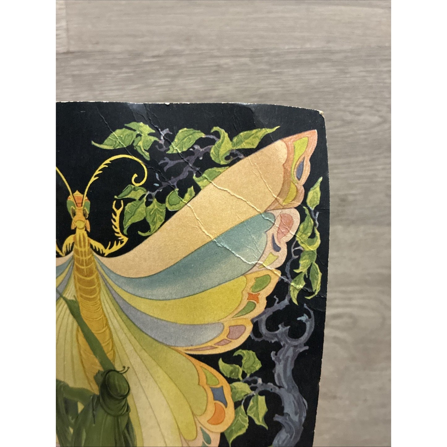 Rare Vintage Putnam Dyes Advertising Fan Art Nouveau Garden Fairies